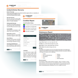 Custom PDF Report branding